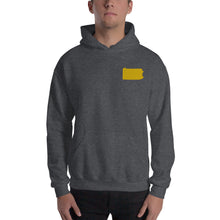 Load image into Gallery viewer, Pennsylvania Embroidered Unisex Hoodie - Gold